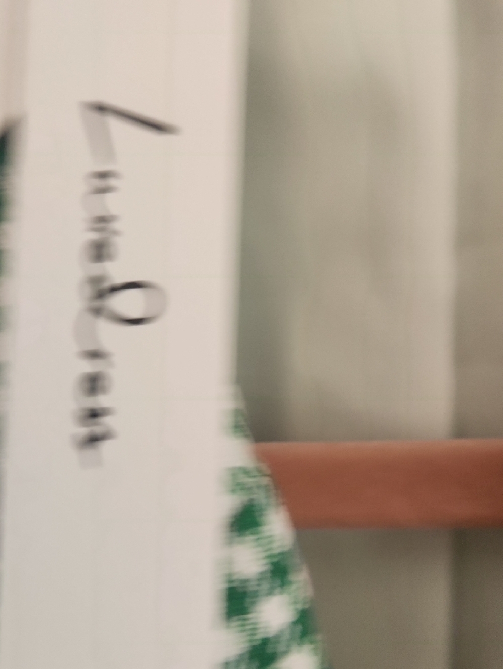 NWT -Luxedress /Loulou Studio Emerald Green Gingham Check Double-Breasted Blazer - Picture 4 of 10